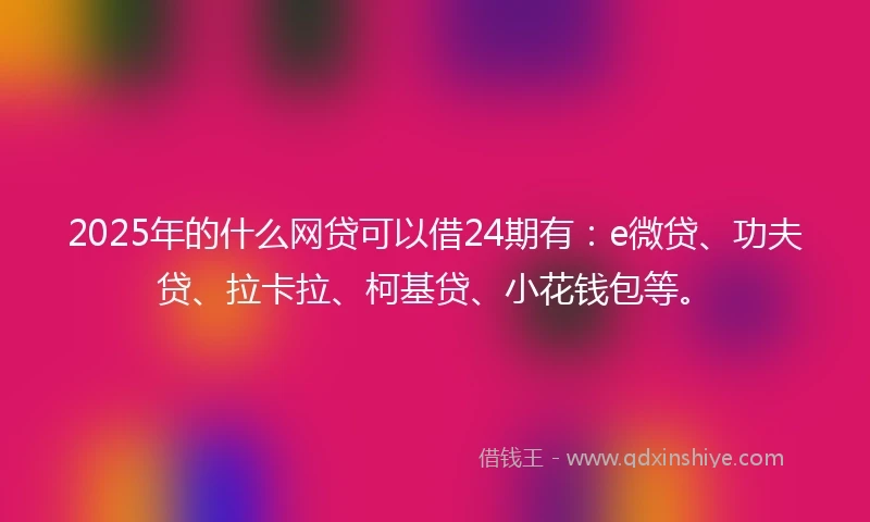 2025年的什么网贷可以借24期有：e微贷、功夫贷、拉卡拉、柯基贷、小花钱包等。