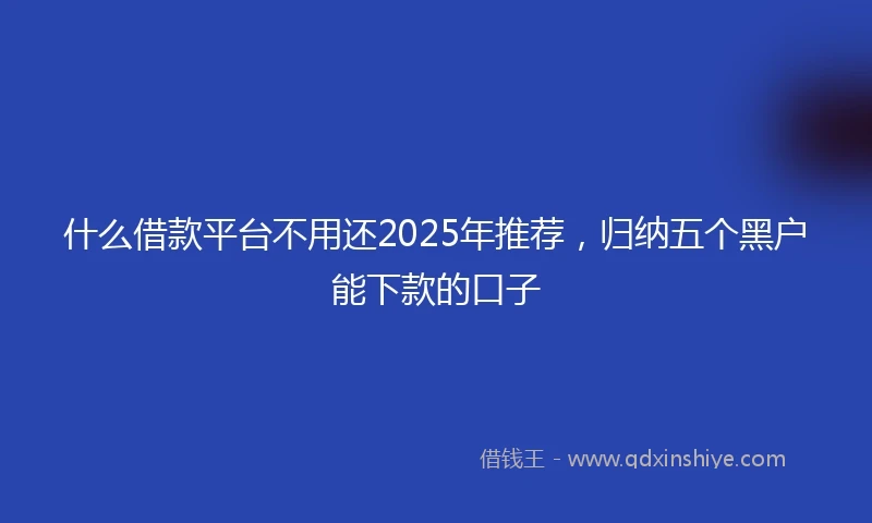 什么借款平台不用还2025年推荐，归纳五个黑户能下款的口子