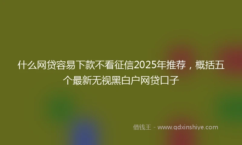 什么网贷容易下款不看征信2025年推荐，概括五个最新无视黑白户网贷口子