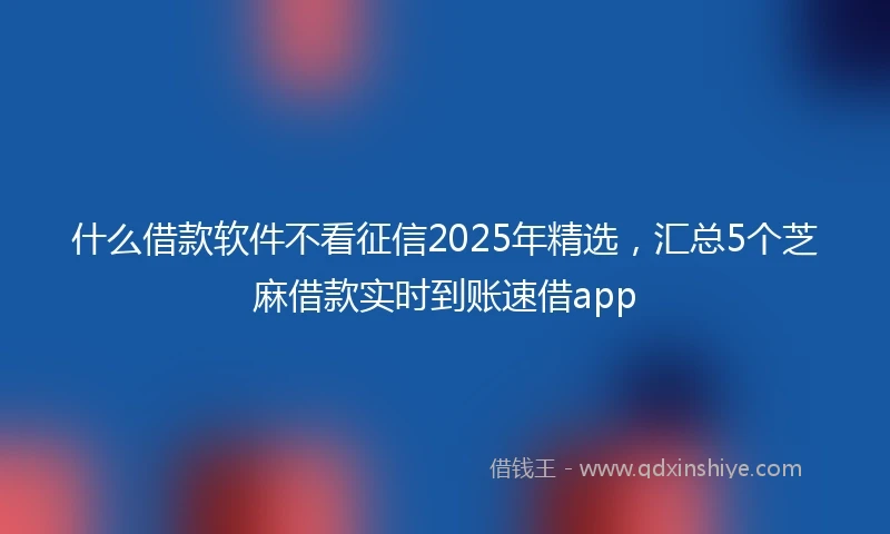 什么借款软件不看征信2025年精选，汇总5个芝麻借款实时到账速借app