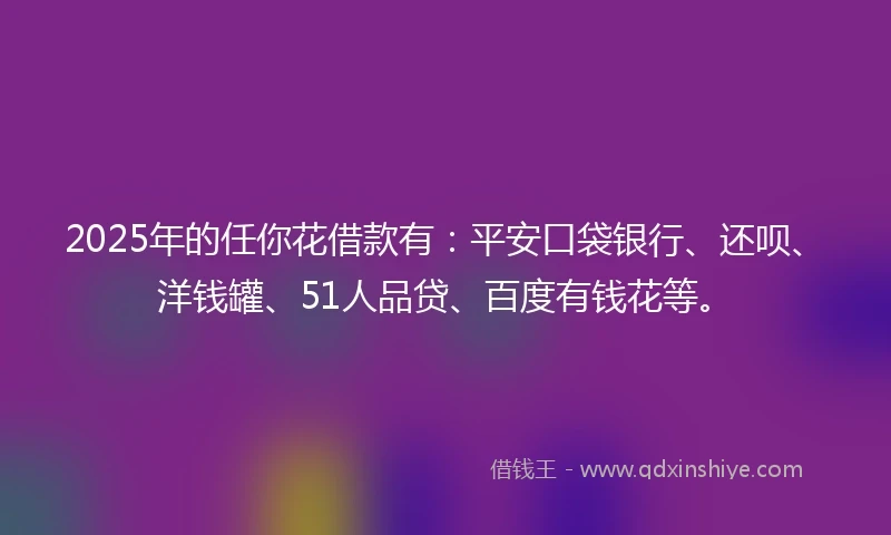 2025年的任你花借款有：平安口袋银行、还呗、洋钱罐、51人品贷、百度有钱花等。