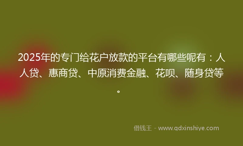 2025年的专门给花户放款的平台有哪些呢有：人人贷、惠商贷、中原消费金融、花呗、随身贷等。