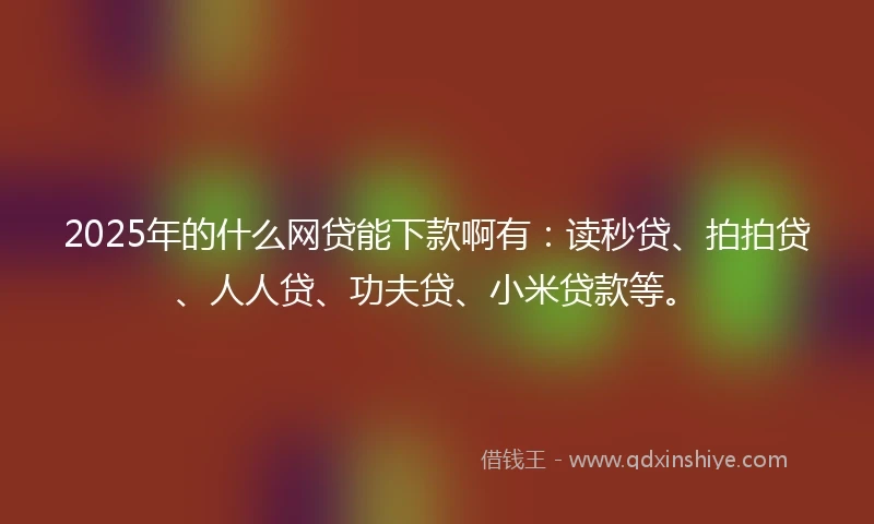 2025年的什么网贷能下款啊有：读秒贷、拍拍贷、人人贷、功夫贷、小米贷款等。