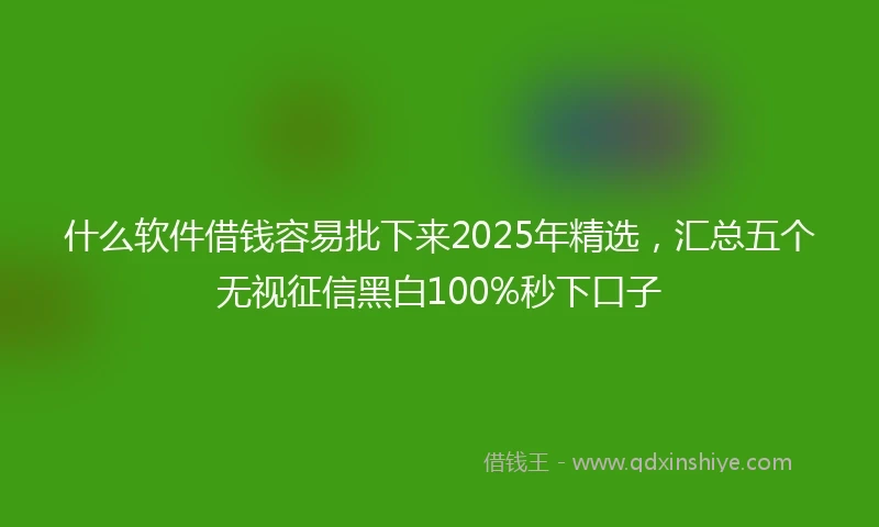什么软件借钱容易批下来2025年精选，汇总五个无视征信黑白100%秒下口子
