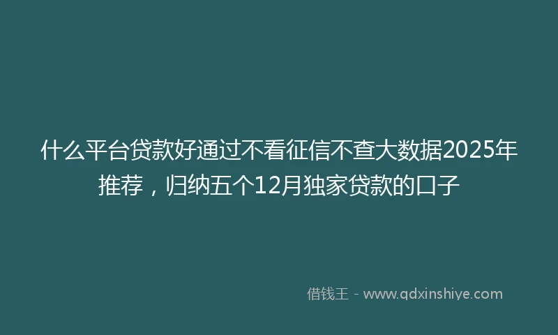 什么平台贷款好通过不看征信不查大数据2025年推荐，归纳五个12月独家贷款的口子