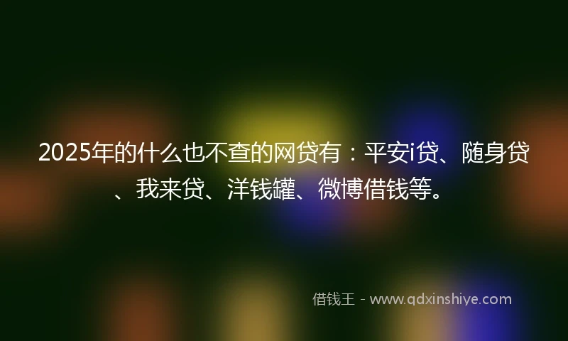 2025年的什么也不查的网贷有：平安i贷、随身贷、我来贷、洋钱罐、微博借钱等。