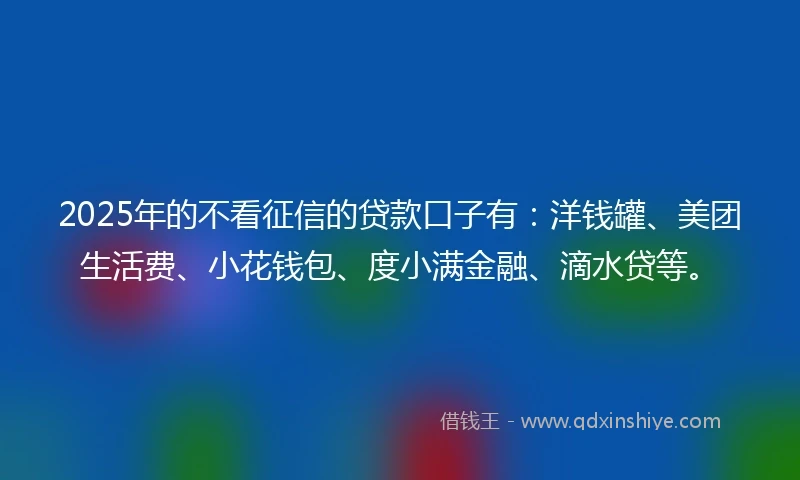 2025年的不看征信的贷款口子有：洋钱罐、美团生活费、小花钱包、度小满金融、滴水贷等。