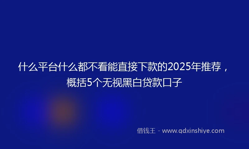 什么平台什么都不看能直接下款的2025年推荐，概括5个无视黑白贷款口子