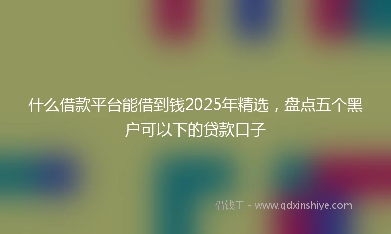 什么借款平台能借到钱2025年精选，盘点五个黑户可以下的贷款口子