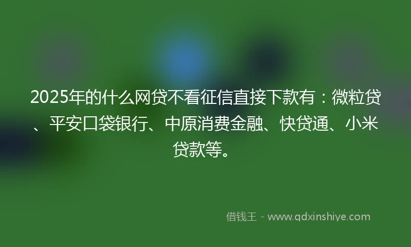 2025年的什么网贷不看征信直接下款有：微粒贷、平安口袋银行、中原消费金融、快贷通、小米贷款等。