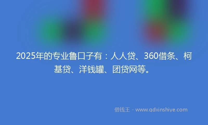 2025年的专业鲁口子有：人人贷、360借条、柯基贷、洋钱罐、团贷网等。