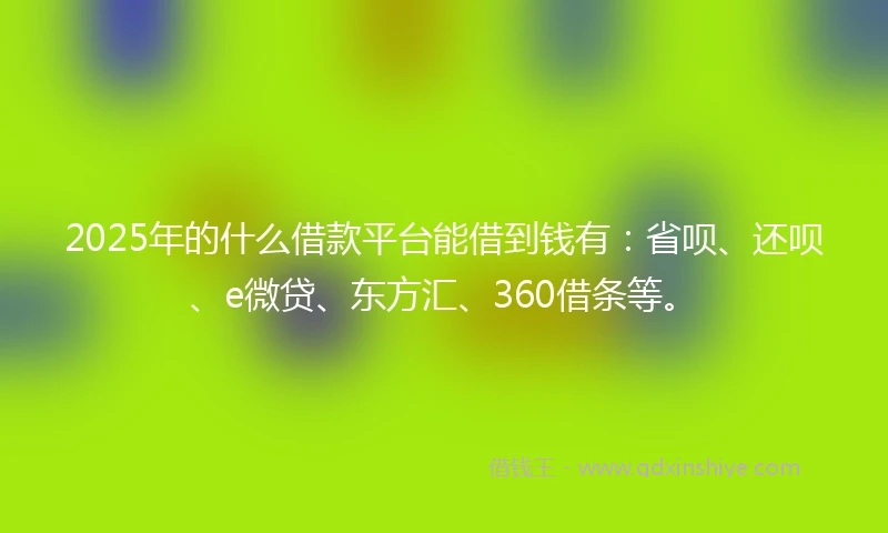 2025年的什么借款平台能借到钱有：省呗、还呗、e微贷、东方汇、360借条等。