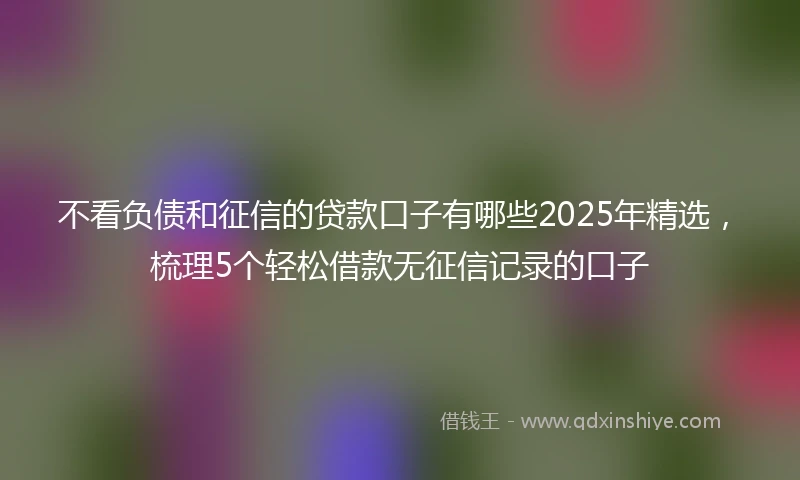 不看负债和征信的贷款口子有哪些2025年精选,梳理5个轻松借款无征信记录的口子