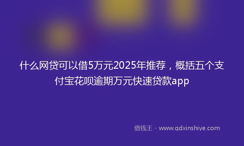 什么网贷可以借5万元2025年推荐，概括五个支付宝花呗逾期万元快速贷款app