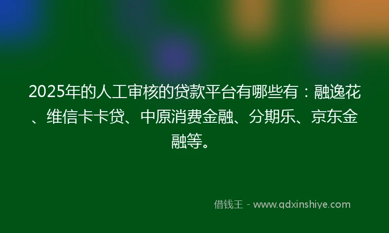 2025年的人工审核的贷款平台有哪些有：融逸花、维信卡卡贷、中原消费金融、分期乐、京东金融等。