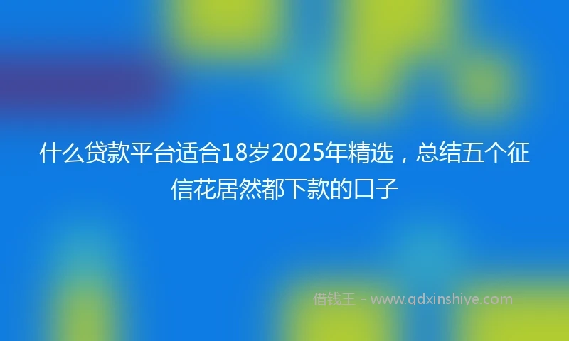 什么贷款平台适合18岁2025年精选，总结五个征信花居然都下款的口子