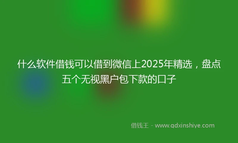 什么软件借钱可以借到微信上2025年精选，盘点五个无视黑户包下款的口子