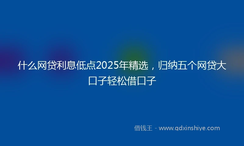什么网贷利息低点2025年精选，归纳五个网贷大口子轻松借口子