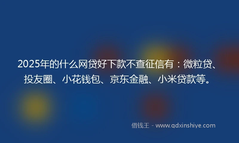 2025年的什么网贷好下款不查征信有：微粒贷、投友圈、小花钱包、京东金融、小米贷款等。