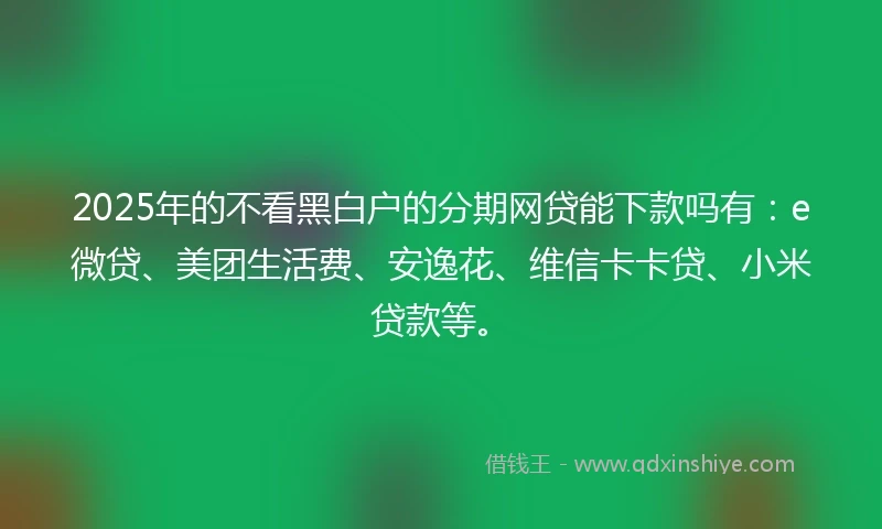 2025年的不看黑白户的分期网贷能下款吗有：e微贷、美团生活费、安逸花、维信卡卡贷、小米贷款等。