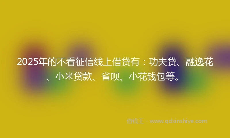 2025年的不看征信线上借贷有：功夫贷、融逸花、小米贷款、省呗、小花钱包等。