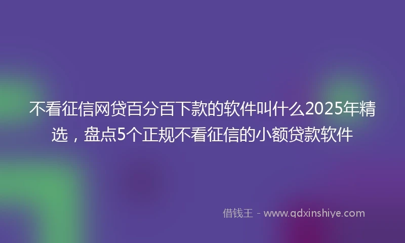 不看征信网贷百分百下款的软件叫什么2025年精选，盘点5个正规不看征信的小额贷款软件