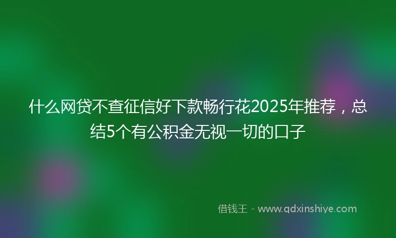 什么网贷不查征信好下款畅行花2025年推荐，总结5个有公积金无视一切的口子