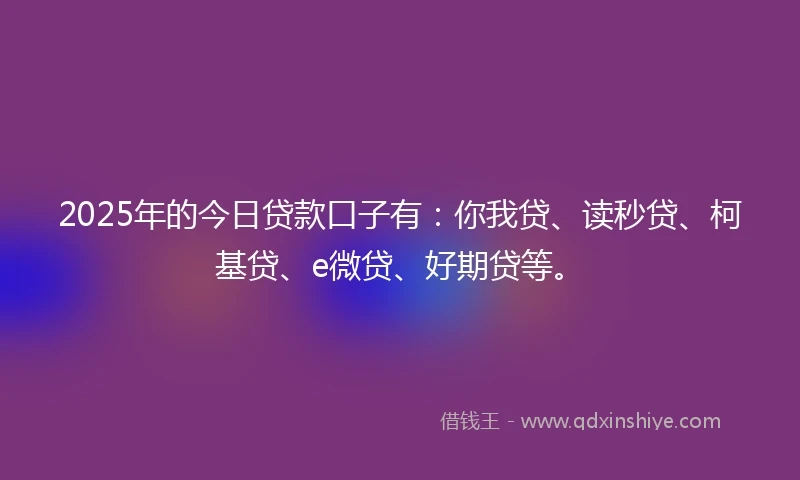2025年的今日贷款口子有：你我贷、读秒贷、柯基贷、e微贷、好期贷等。
