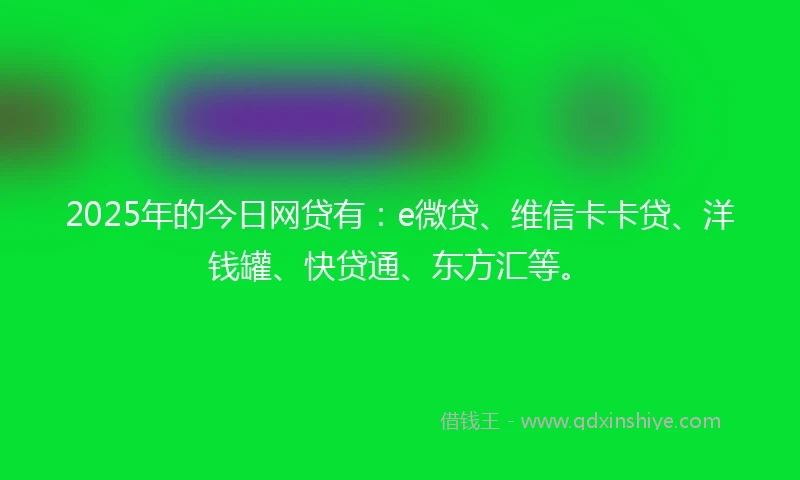 2025年的今日网贷有：e微贷、维信卡卡贷、洋钱罐、快贷通、东方汇等。