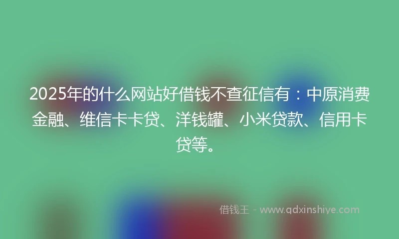 2025年的什么网站好借钱不查征信有：中原消费金融、维信卡卡贷、洋钱罐、小米贷款、信用卡贷等。