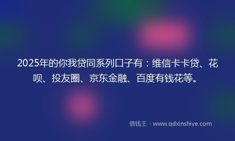 2025年的你我贷同系列口子有：维信卡卡贷、花呗、投友圈、京东金融、百度有钱花等。