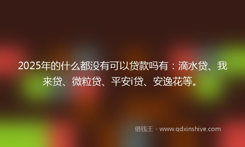 2025年的什么都没有可以贷款吗有：滴水贷、我来贷、微粒贷、平安i贷、安逸花等。