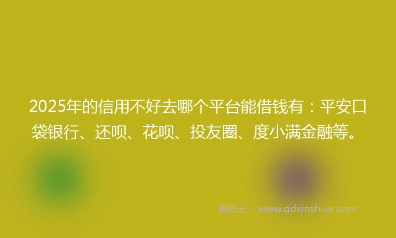 2025年的信用不好去哪个平台能借钱有：平安口袋银行、还呗、花呗、投友圈、度小满金融等。