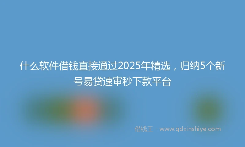 什么软件借钱直接通过2025年精选，归纳5个新号易贷速审秒下款平台