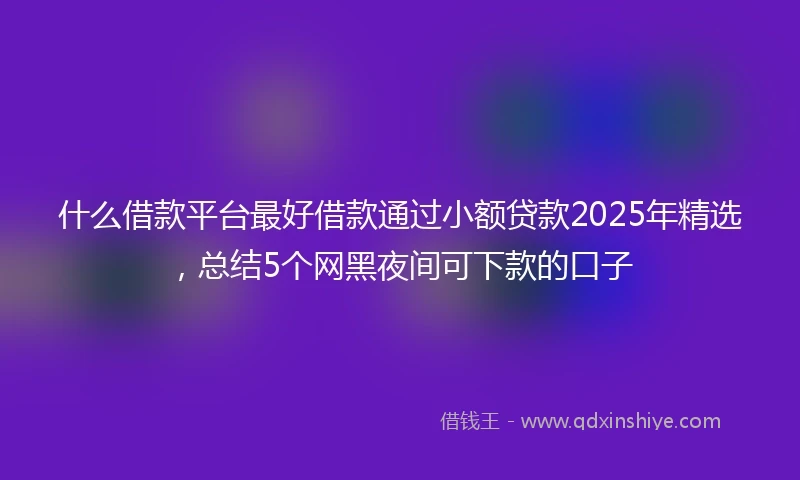 什么借款平台最好借款通过小额贷款2025年精选，总结5个网黑夜间可下款的口子