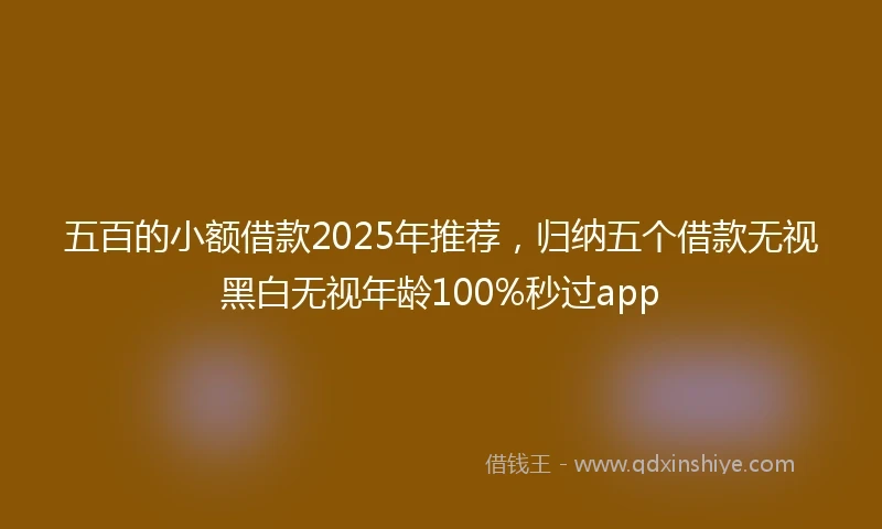 五百的小额借款2025年推荐，归纳五个借款无视黑白无视年龄100%秒过app