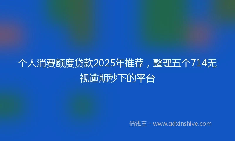 个人消费额度贷款2025年推荐，整理五个714无视逾期秒下的平台