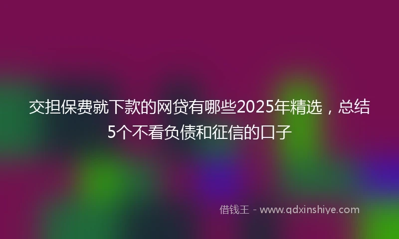 交担保费就下款的网贷有哪些2025年精选，总结5个不看负债和征信的口子