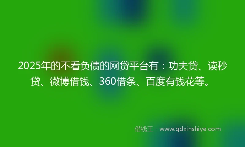 2025年的不看负债的网贷平台有：功夫贷、读秒贷、微博借钱、360借条、百度有钱花等。