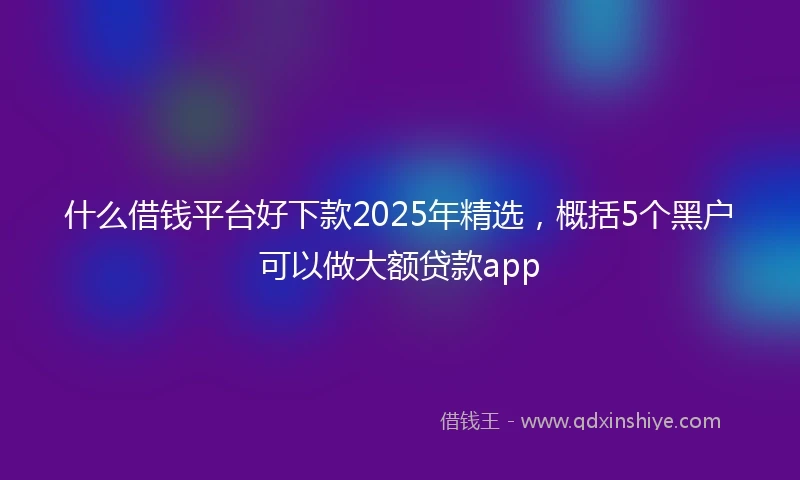 什么借钱平台好下款2025年精选，概括5个黑户可以做大额贷款app