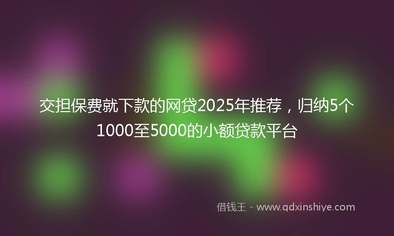 交担保费就下款的网贷2025年推荐，归纳5个1000至5000的小额贷款平台