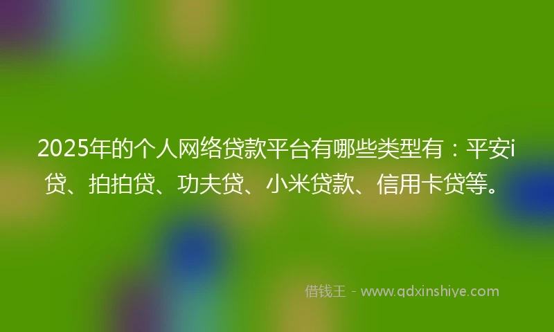 2025年的个人网络贷款平台有哪些类型有：平安i贷、拍拍贷、功夫贷、小米贷款、信用卡贷等。