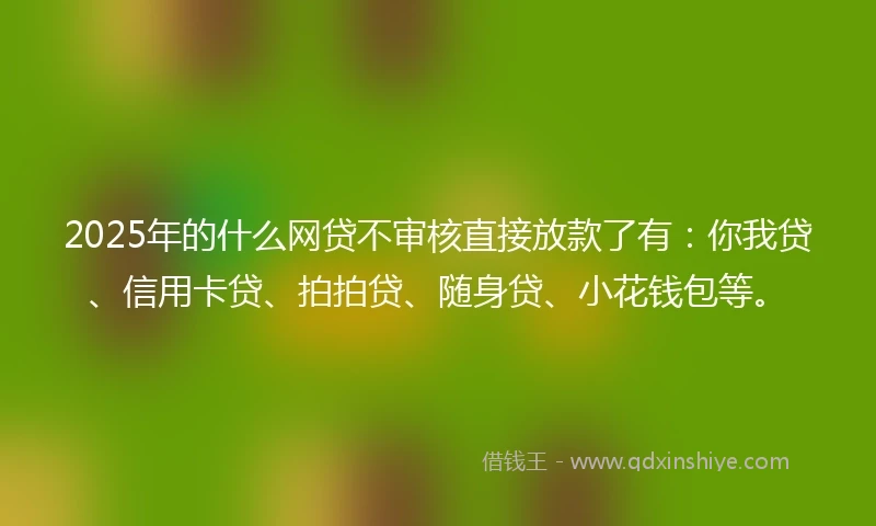 2025年的什么网贷不审核直接放款了有：你我贷、信用卡贷、拍拍贷、随身贷、小花钱包等。