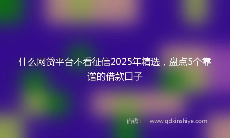 什么网贷平台不看征信2025年精选，盘点5个靠谱的借款口子