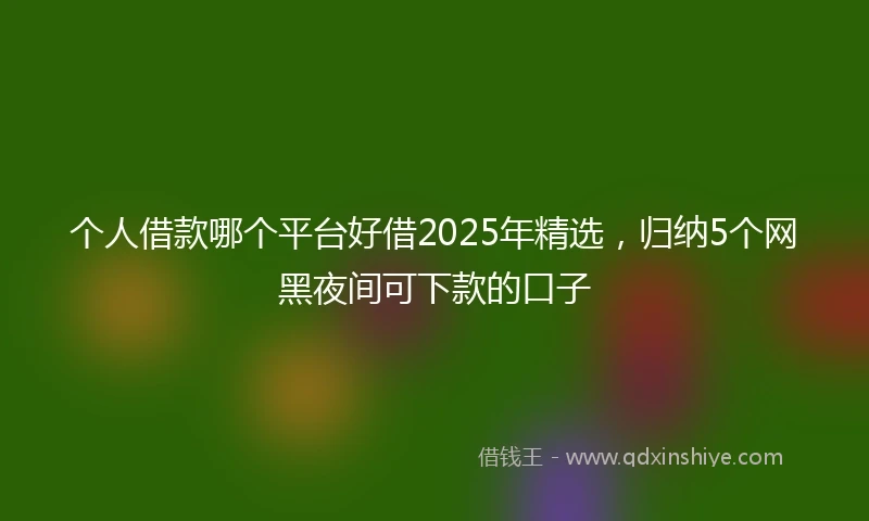 个人借款哪个平台好借2025年精选，归纳5个网黑夜间可下款的口子