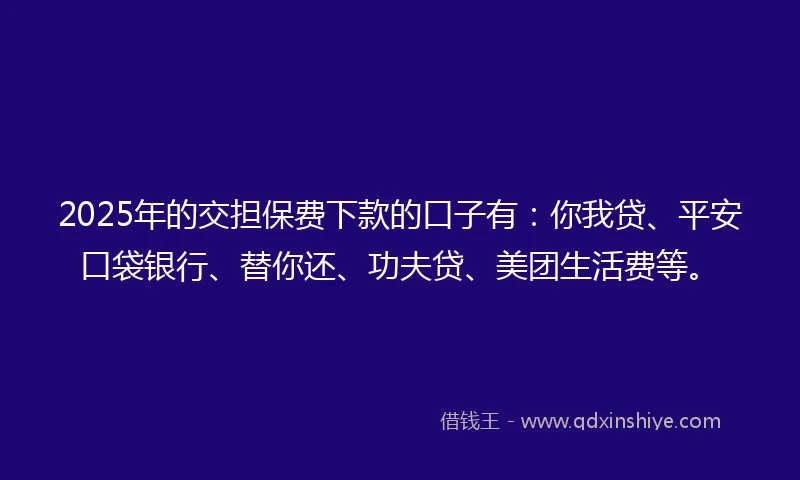 2025年的交担保费下款的口子有：你我贷、平安口袋银行、替你还、功夫贷、美团生活费等。