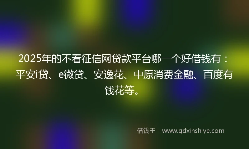 2025年的不看征信网贷款平台哪一个好借钱有：平安i贷、e微贷、安逸花、中原消费金融、百度有钱花等。