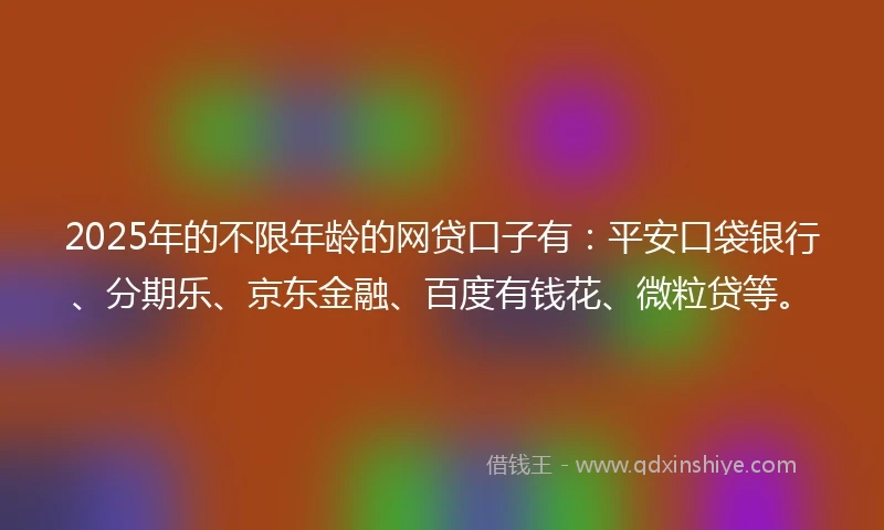 2025年的不限年龄的网贷口子有：平安口袋银行、分期乐、京东金融、百度有钱花、微粒贷等。