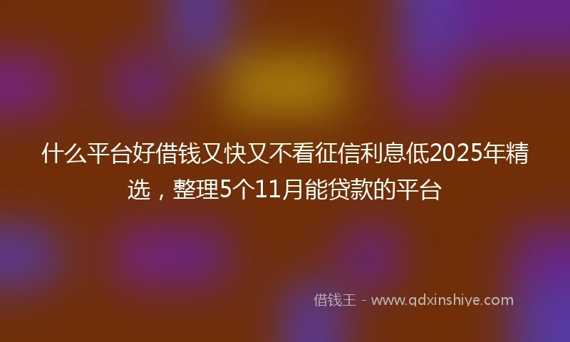 什么平台好借钱又快又不看征信利息低2025年精选，整理5个11月能贷款的平台