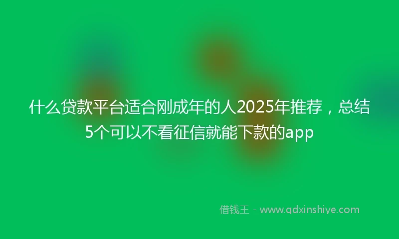 什么贷款平台适合刚成年的人2025年推荐，总结5个可以不看征信就能下款的app
